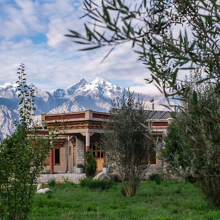 Lchang Nang Retreat-The House Of Trees-Nubra Valley Otel Sumur Dış mekan fotoğraf