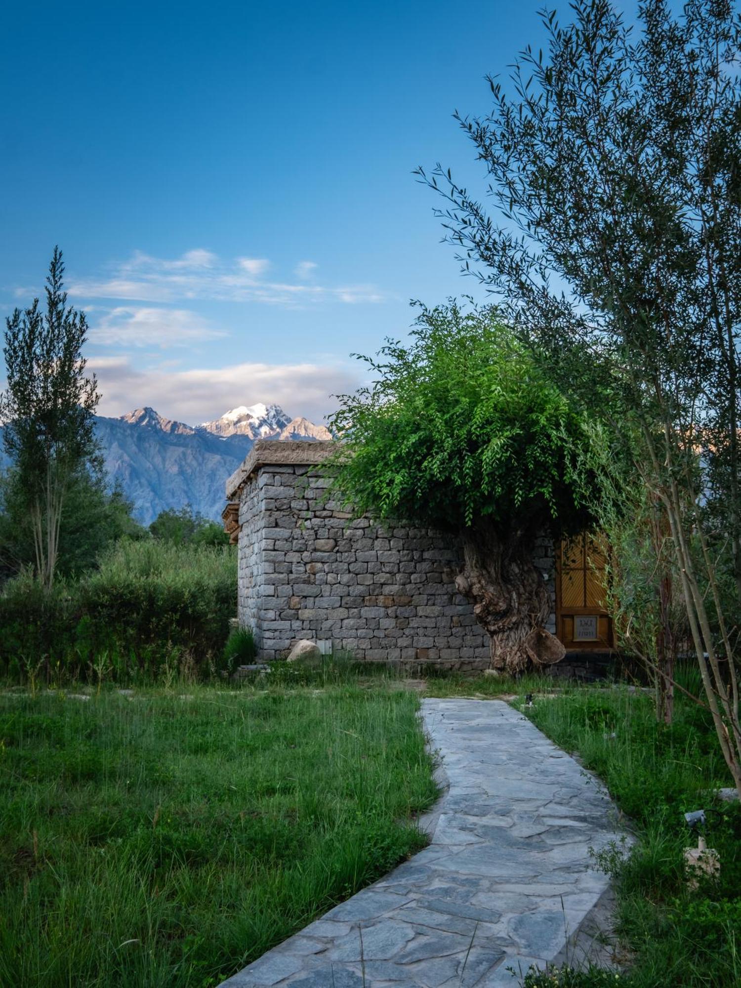 Lchang Nang Retreat-The House Of Trees-Nubra Valley Otel Sumur Dış mekan fotoğraf